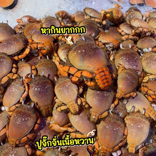 รีวิวบุฟเฟต์ทะเล