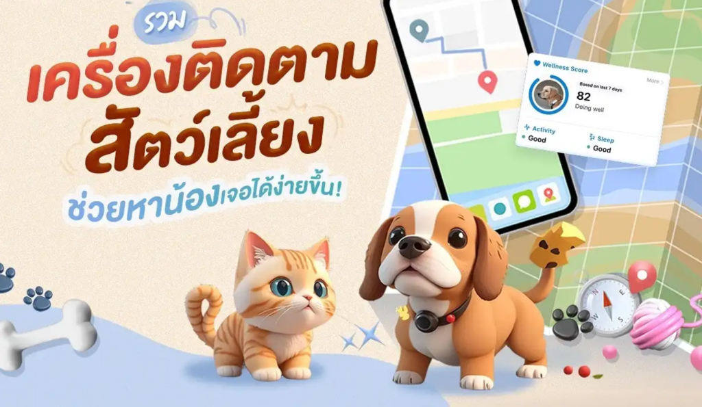 ปลอกคอสัตว์เลี้ยง